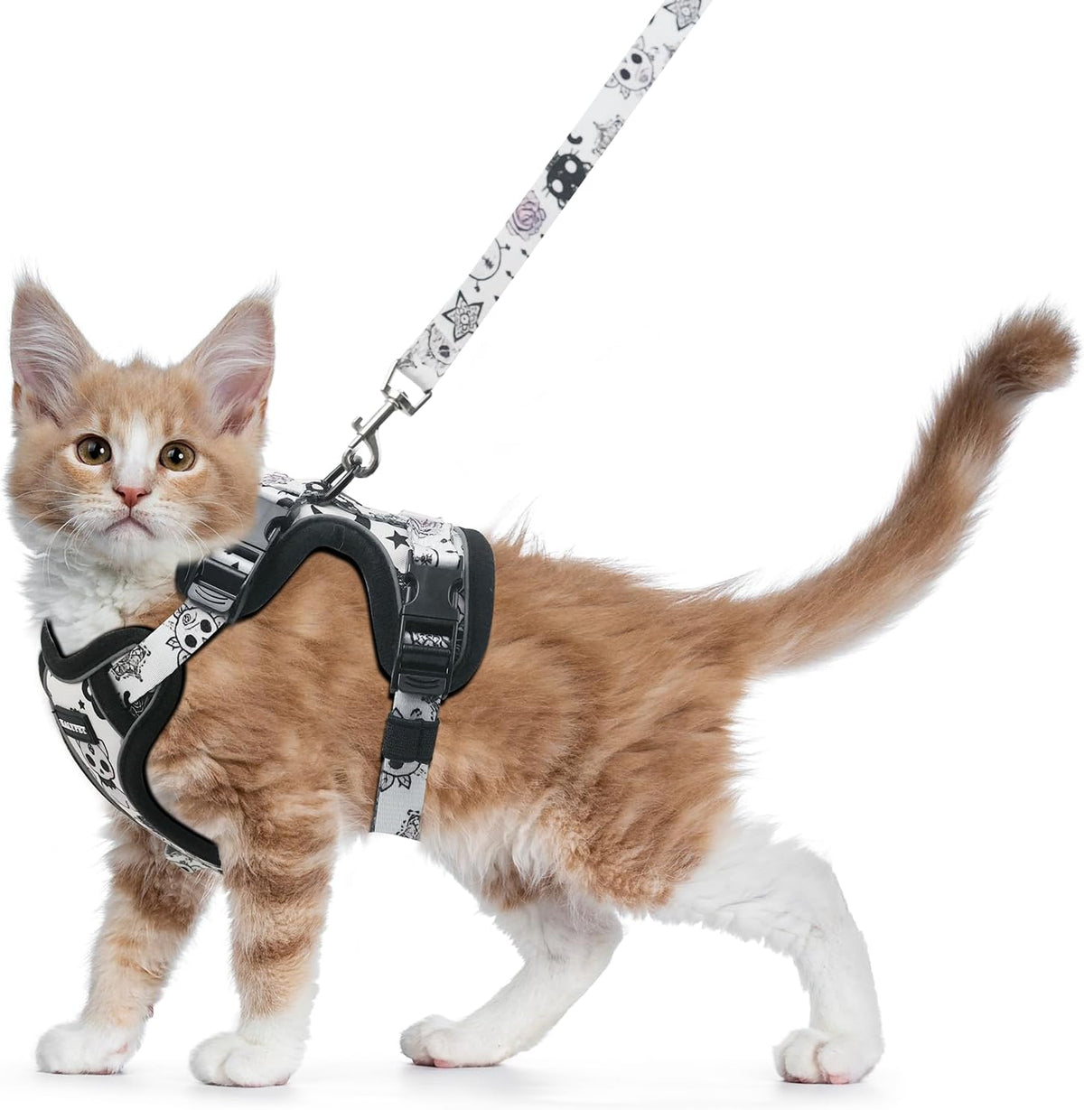 Cat Harness and Leash Set, Escape Proof Kitten Harness, Black - H604 Pro Moonlight Meow / Small (7-12lb)