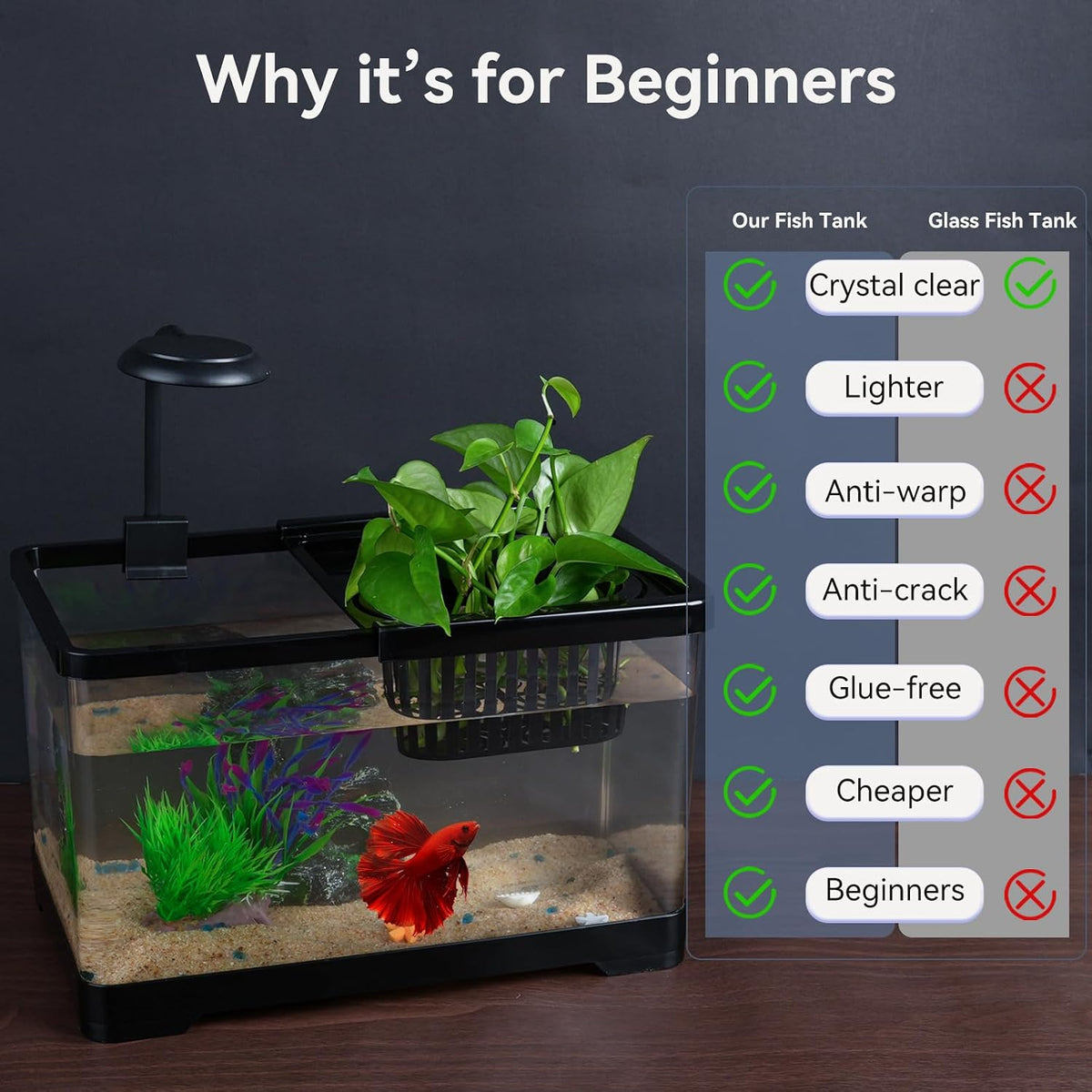 1.5 Gallon Aquarium Starter Kits - Long fish tank - image 4