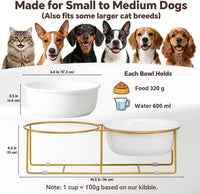 Small Glass Tilted Elevated Cat Dog Bowl Raised Cat Food Water Bowl - Large / White×2-Flat - image 2