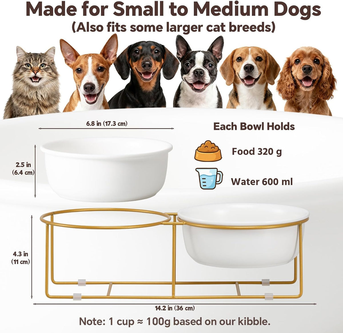 Small Glass Tilted Elevated Cat Dog Bowl Raised Cat Food Water Bowl - Large / White×2-Flat - image 2