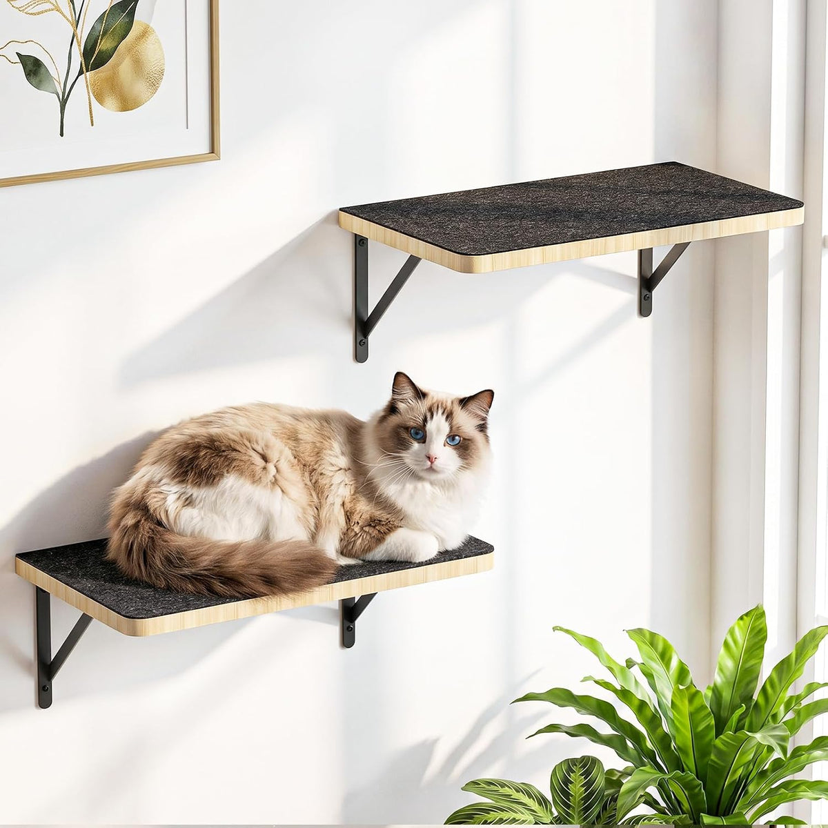 Cat Wall Shelves with 3 Steps - 2pcs Shelves