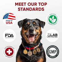 Probiotics for Dogs Digestive Health - Probiotic Chews for Gut Health, Itchy Skin Yeast, Diarrhea - USA Product - Immune Support Supplement - Dog Digestive Support & Allergy Relief Chews with Enzymes