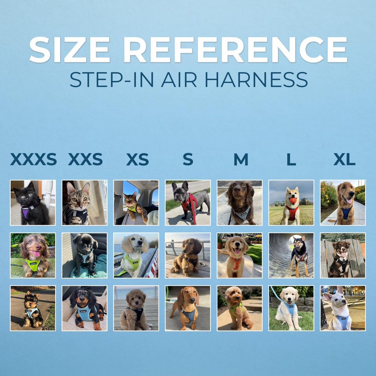 Best Pet Supplies Voyager Step-in Air All Weather Mesh Harness - Baby Blue / XS (Chest: 13 - 14.5") - image 3