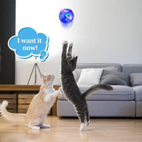 6 Pcs Cat Ball Ghost Hunting Light up Toy - Clear / 2 - image 3