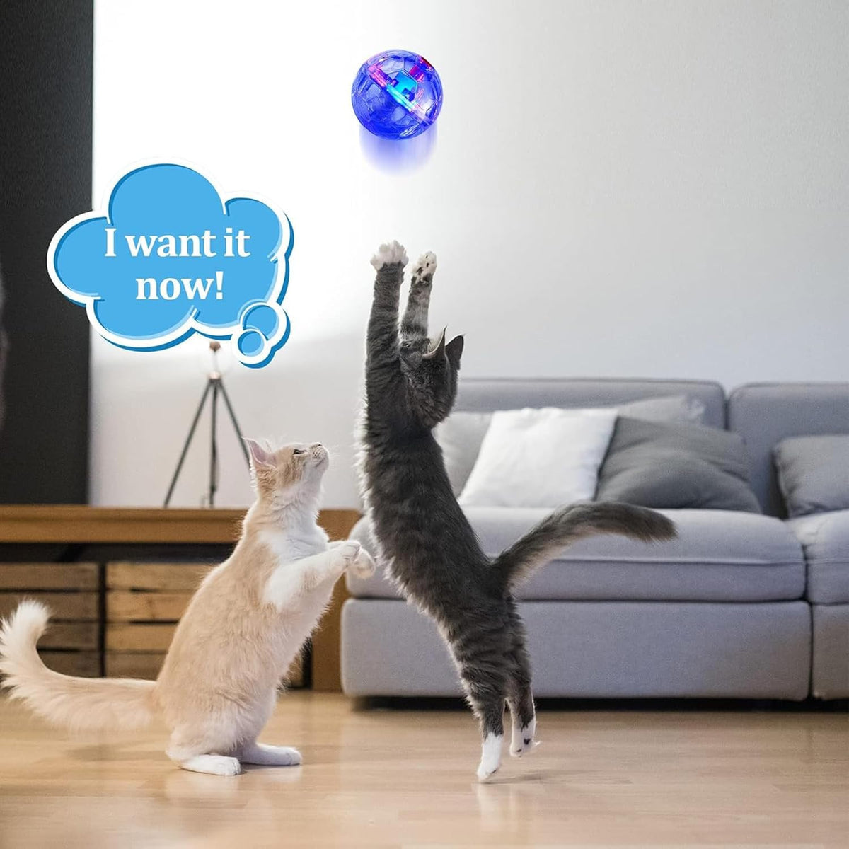 6 Pcs Cat Ball Ghost Hunting Light up Toy - Clear / 2 - image 3