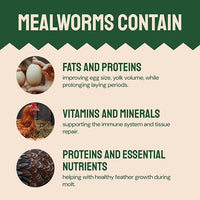 Bulk Dried Mealworms - 10 Lb Bag - Non-GMO Dried Mealworms for Chickens, Ducks & Wild Birds - High-Protein Chicken Feed & Bird Food