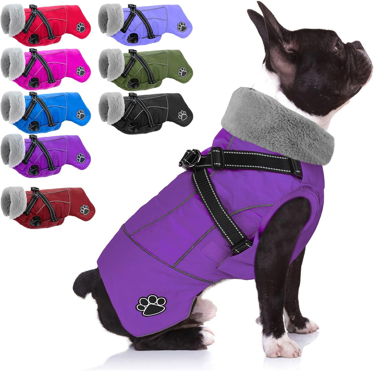 Doglay Dog Coat with Detachable Harness - Purple / Medium