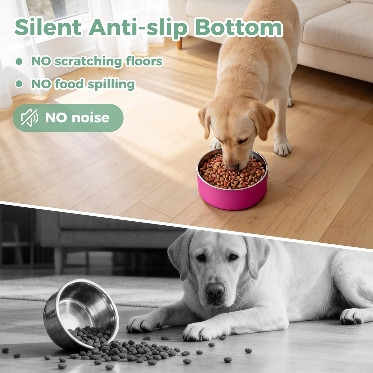 Dog Bowl, Stainless Stee Dog Water Bowl and Food Bowl - 40oz / Pitaya Pink - image 2