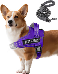 AUROTH Dog Harness for Large Dogs No Pull Tactical Harness and Leash - Purple / S(Neck:13.4"-19.7",Chest:20.5"-26")