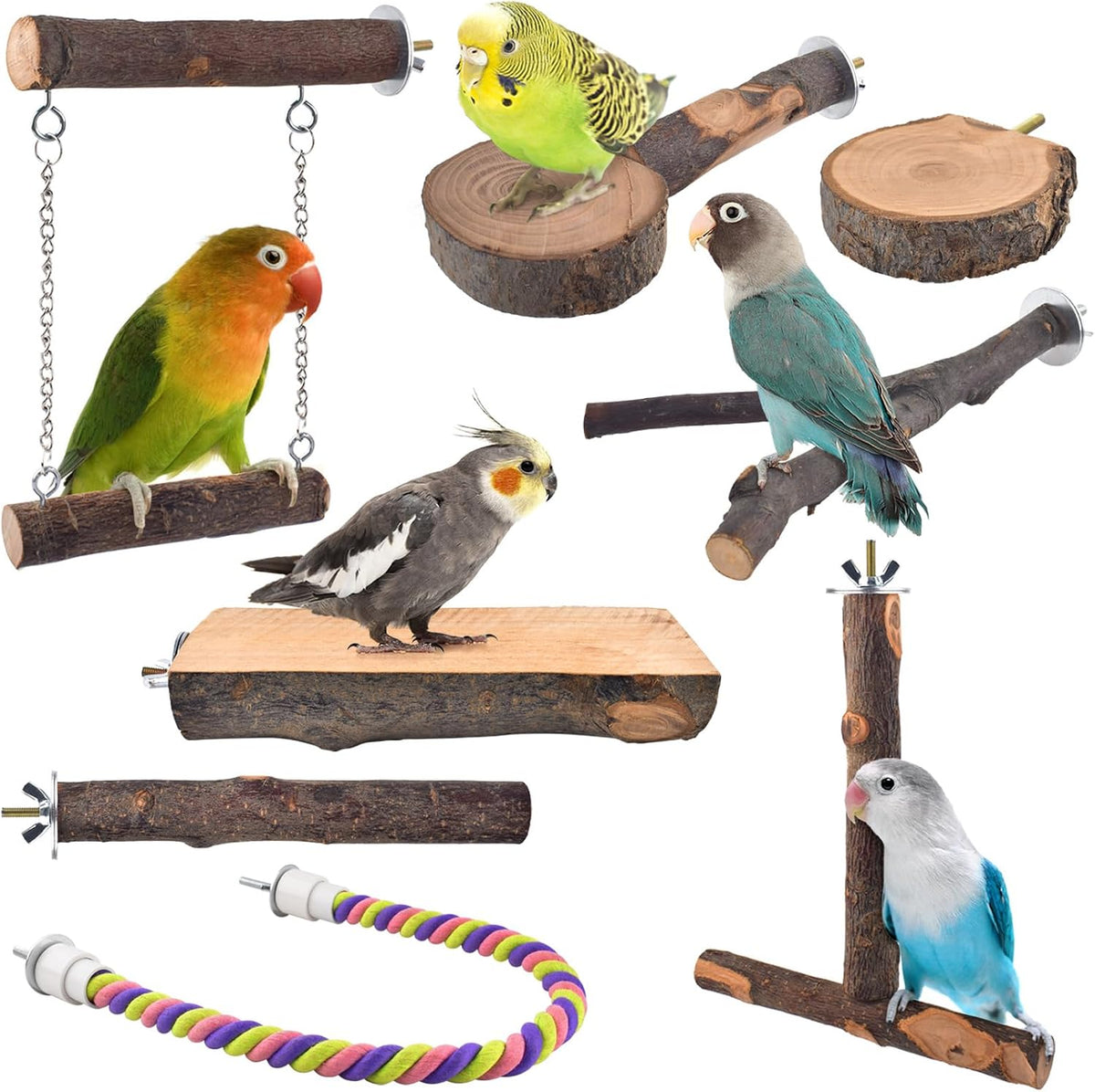 DBNESS Bird Perches, Conures, Budgies