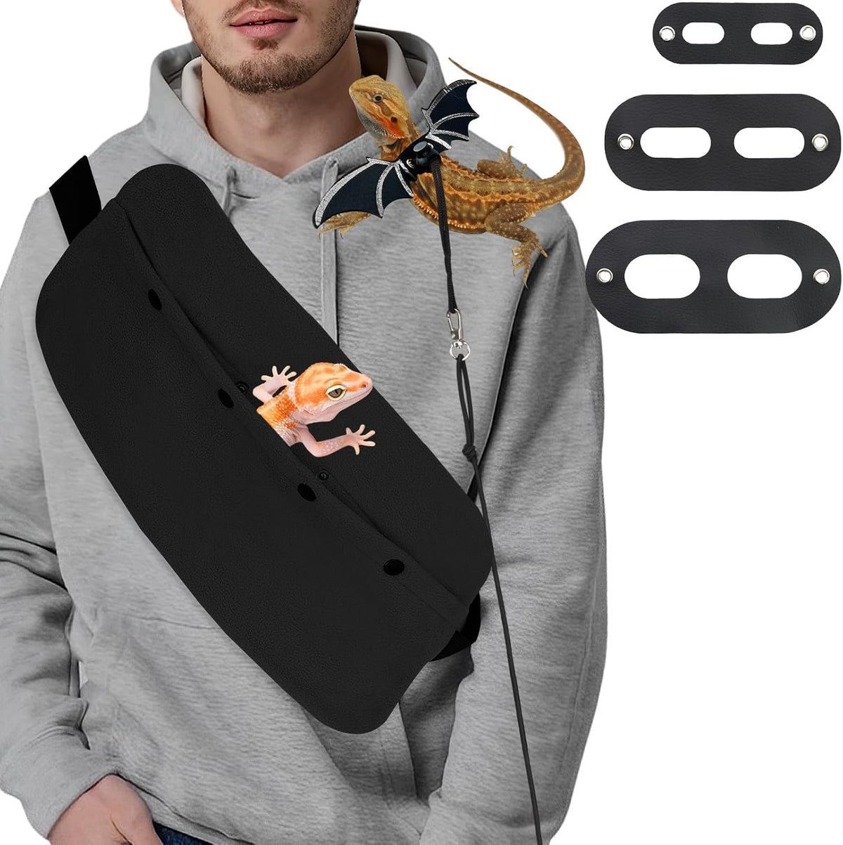 Bearded Dragon Leash and Harness Set, Bearded Dragon Accessories - Black