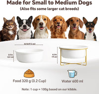 Small Glass Tilted Elevated Cat Dog Bowl Raised Cat Food Water Bowl - Large / White-Flat - image 2