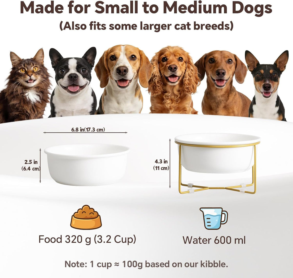 Small Glass Tilted Elevated Cat Dog Bowl Raised Cat Food Water Bowl - Large / White-Flat - image 2