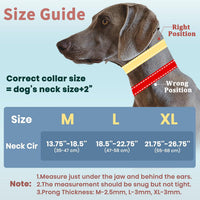Mayerzon purple no pull dog collar with reflective threads and slider buckle - view 4