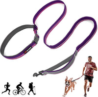 Tuff Pupper Hands Free Adjustable Length Dog Leash - Punch Purple / Bungee