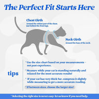 rabbitgoo Cat Harness and Leash Set, Step-in Soft Vest - S / Blue - image 2