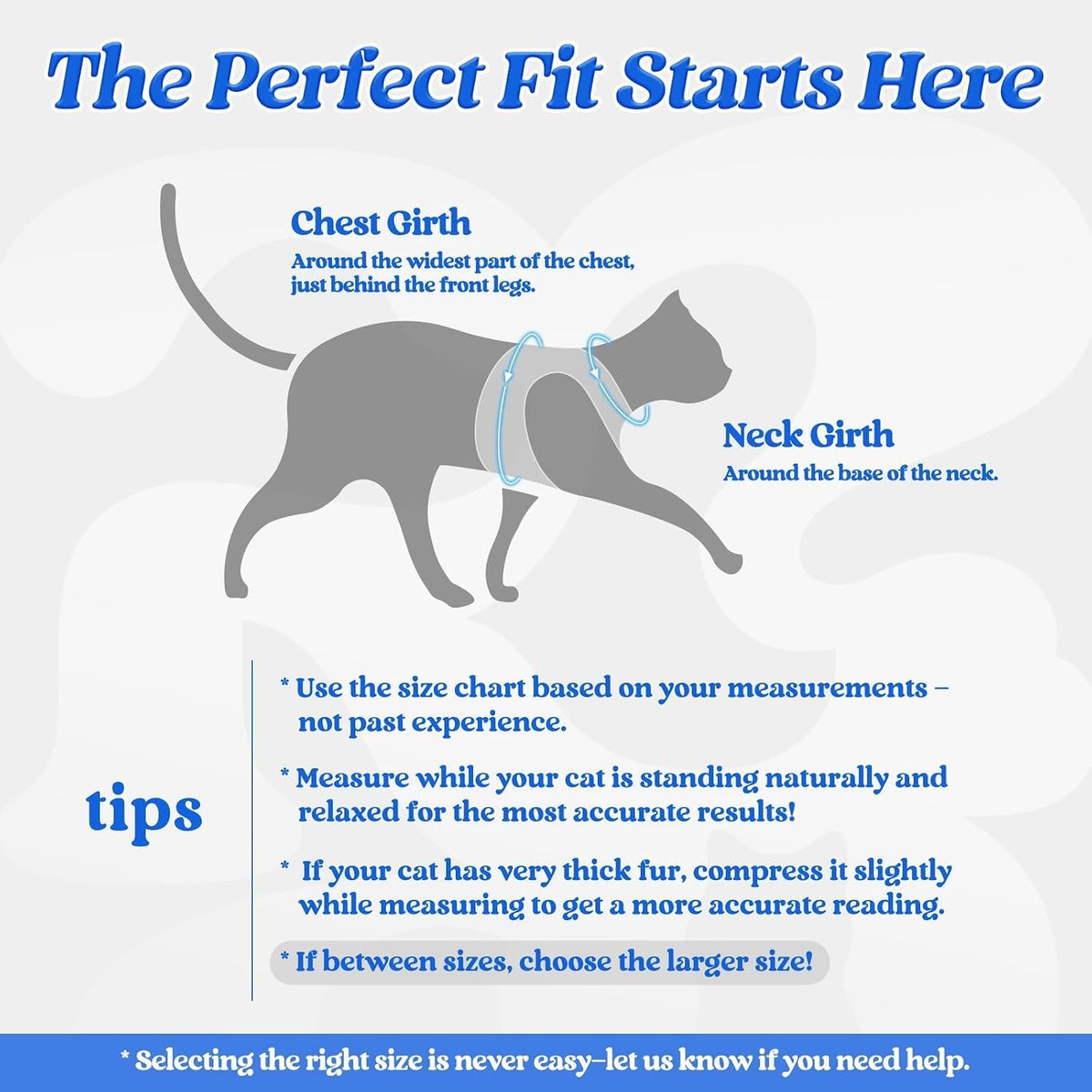rabbitgoo Cat Harness and Leash Set, Step-in Soft Vest - S / Blue - image 2