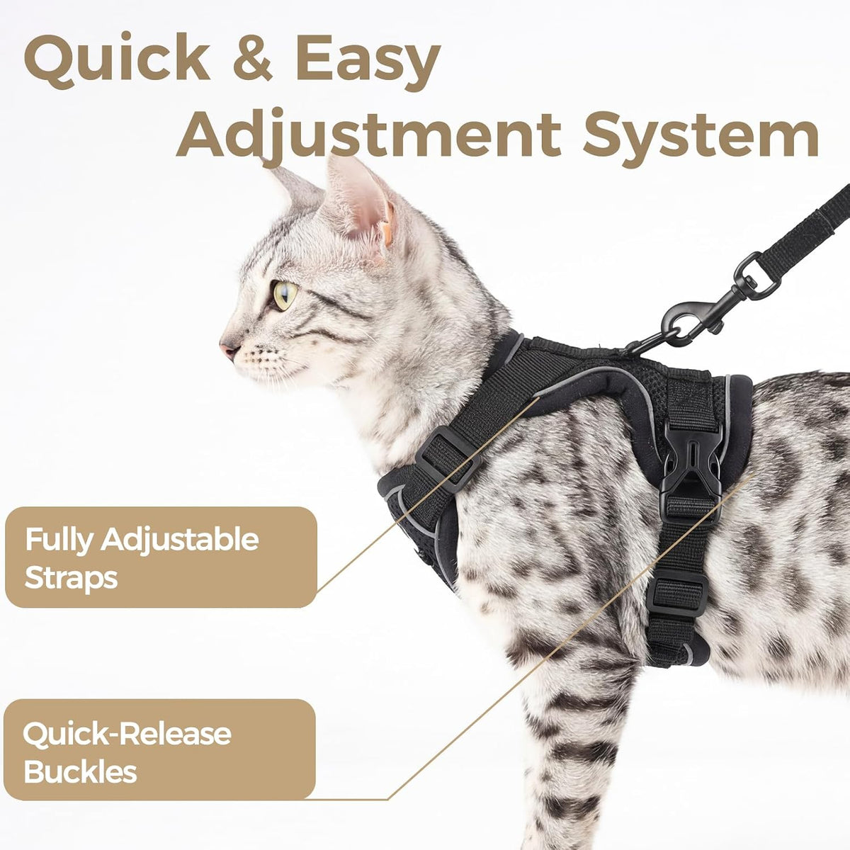 Cat Harness and Leash Set, Escape Proof Cat Vest, XL - Black / XX-Large - image 4