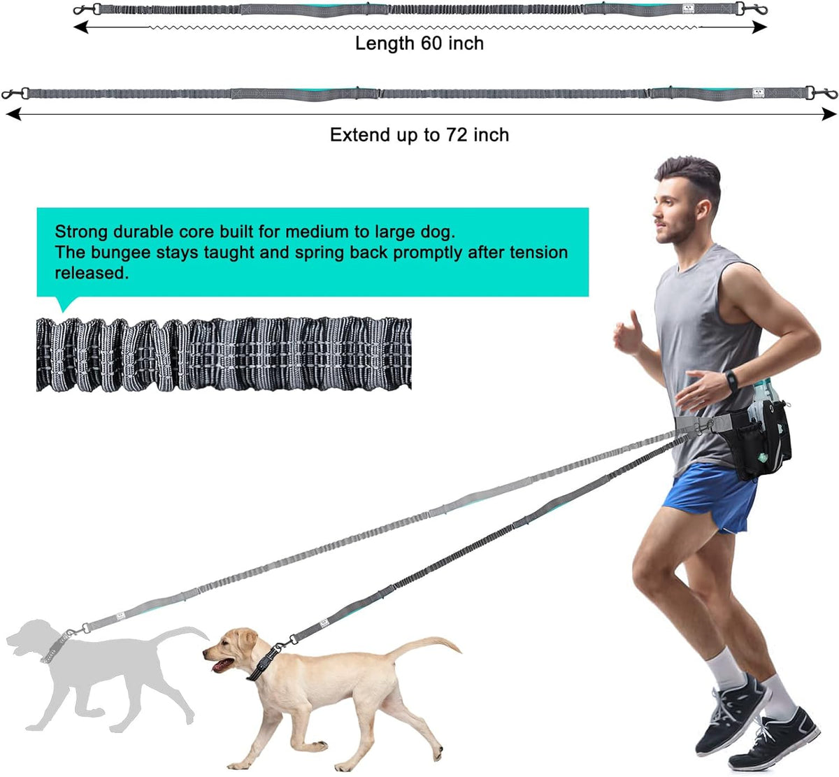 SHINE HAI Retractable Hands Free Dog Leash with Dual Bungees for 2 - Blue/Black / For 2 Dog - image 4