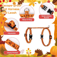 2 Pack Cat Harness and Leash with Collar Set - Orange - image 3