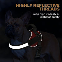 Haapaw Essential Dog Harness - M / Red - image 3