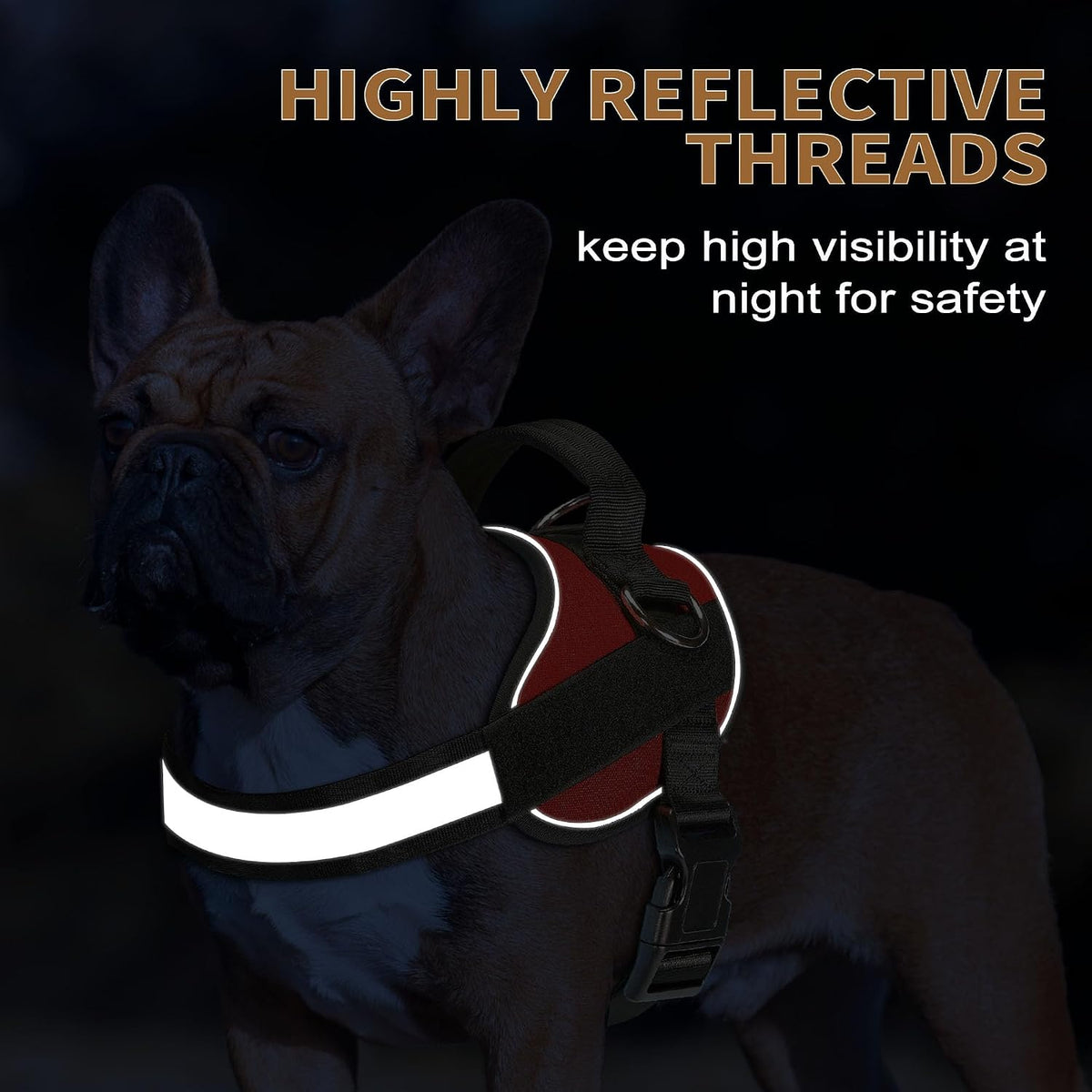 Haapaw Essential Dog Harness - M / Red - image 3
