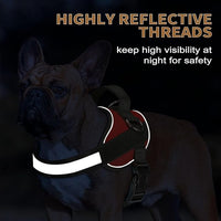 Haapaw Essential Dog Harness, No Pull Pet Vest with 3 Leash Clips, No Choke, Reflective, Adjustable and Padded, for Easy Walking and Training for Medium Dogs(M, Red)