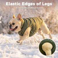 Fleece Lined Dog Jacket for Small Dogs, Winter Dog Coat - Green / X-Small - image 3