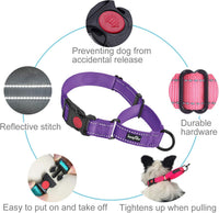Haapaw Escape-Proof Martingale Dog Collar - Purple / S / 1 Collar + 1 Leash - image 3