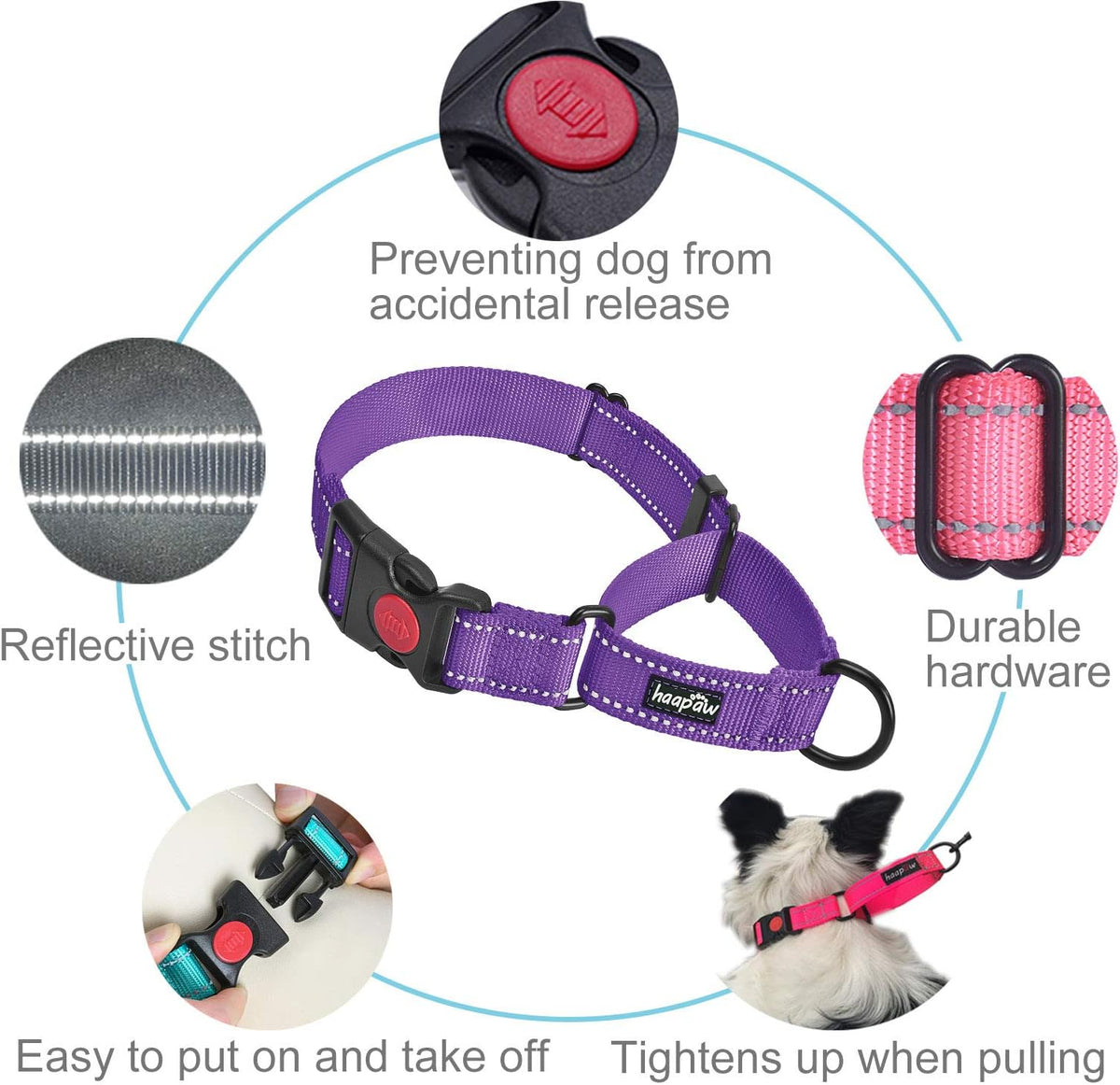 Haapaw Escape-Proof Martingale Dog Collar - Purple / S / 1 Collar + 1 Leash - image 3