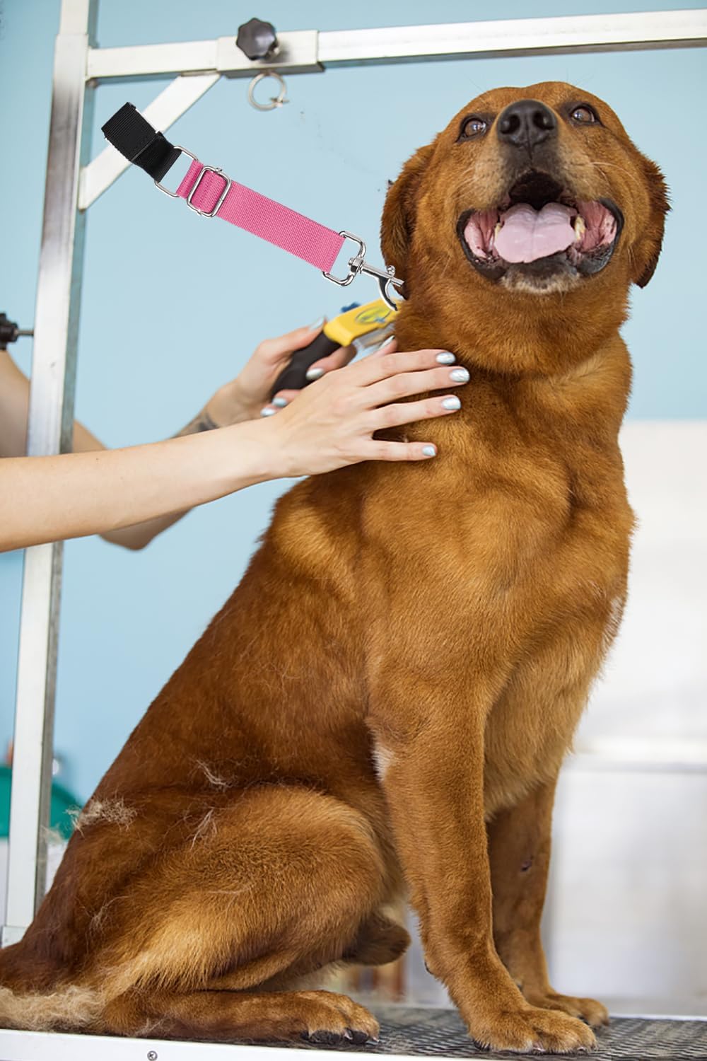 Pet Dog Grooming Arm Accessories - Pink & Hot Pink - image 3