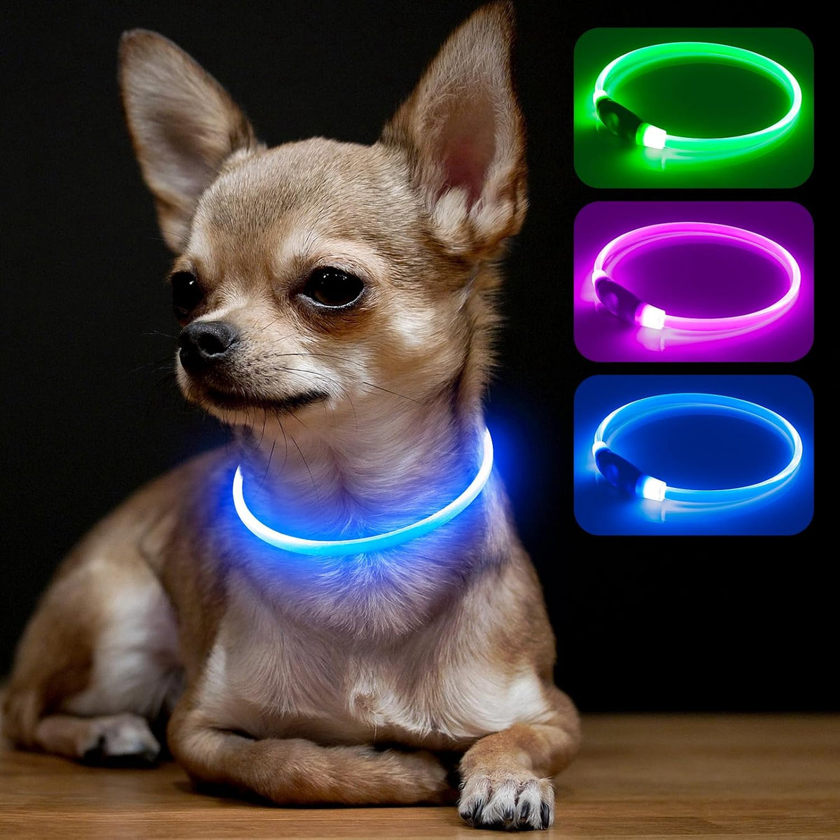 Light Up Dog Collar – Essentials for Dogs - XS-Blue (40cm)