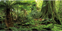30x18 in Terrarium Backdrop Green Forest Tree Reptile Habitat - 72x24in/180x60cm