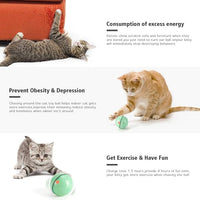 WWVVPET Interactive Cat Toy With LED Light, 360 Degree Self Auto Rotating Smart Ball, USB Rechargeable Spinning Toy, Stimulate Hunting Instinct for Kittens, Funny Chaser Roller Pet Toy