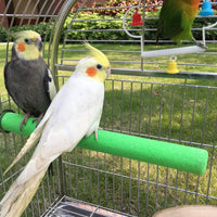 Bird Perch Rough-surfaced Nature Wood Stand Toy Branch for Parrots – Essentials for Birds - Straight Perch / L - image 2