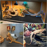 Reptile Carpet, Reptile Mat, Bearded Dragon - 2 PCS / Black 18"×79" - image 3