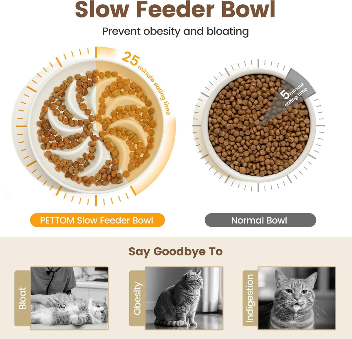 PETTOM Slow Feeder Cat Bowl Elevated Ceramic with Bamboo Stand - Lotus - image 2