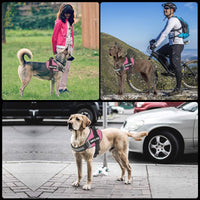 JSXD Dog Harness,No-Pull Service Dog Harness with Handle Adjustable Outdoor Pet Dog Vest 3M - XS / Pink - image 3