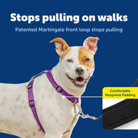 PetSafe 3 in 1 No-Pull Dog Harness, Walk, Train or Travel - Plum / Medium (Pack of 1) - image 3