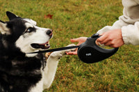TUG Original Retractable Dog Leash - Black/Grey / Large - image 3