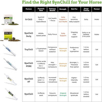 SynChill Oral Horse Calming Gel, 100% Natural & Nutritional Supplement, Lab Proven Results, Designed for Focus & Performance, Approved by Olympic Professionals & Veterinarians, Made in USA - 25-Pack