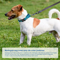 Reflective Martingale Dog Collars. Dog Collar with Quick Release - L:1" Wide for 18.5"-26.5" Neck / Azure Blue - image 4