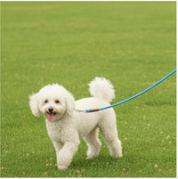 MayPaw Small Rope Dog Leash 6FT 8FT 10FT - 10ft*1/4" / blue - image 2