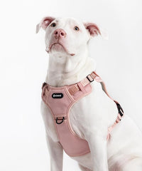 2025 New Edition, Fei & Eve MagEase Dog Harness - 3-Second Magnetic Buckles | 3-Point No-Pull Control | Heavy-Duty 900D Nylon | Dual Safety Handles | Breathable Mesh | Adjustable Fit | Large, Pink