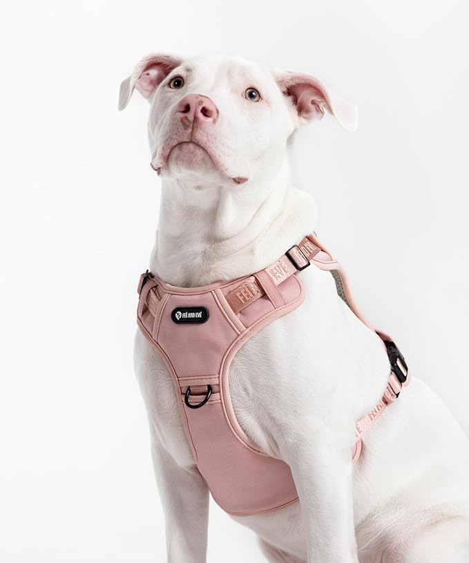 2025 New Edition, Fei & Eve MagEase Dog Harness - 3-Second Magnetic Buckles | 3-Point No-Pull Control | Heavy-Duty 900D Nylon | Dual Safety Handles | Breathable Mesh | Adjustable Fit | Large, Pink