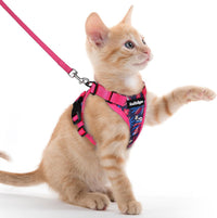rabbitgoo Cat Harness and Leash Set, Escape Proof Vest - Xxs / Coconut Fuchsia