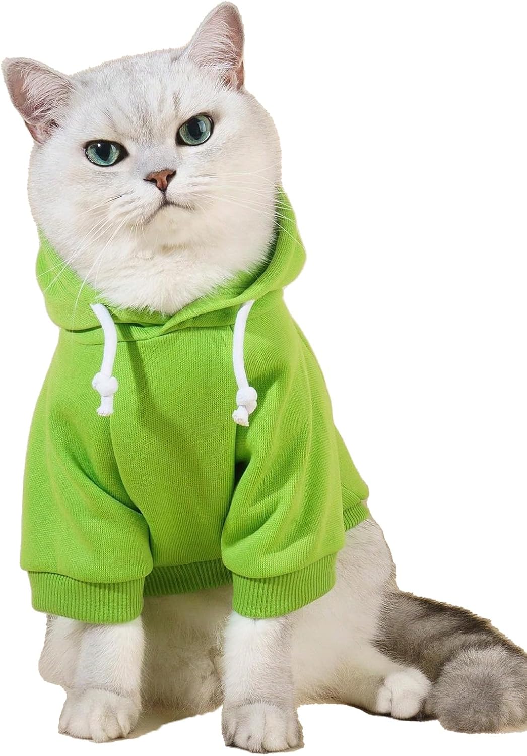 Basic Dog Hoodie Sweatshirt Puppy Sweater Warm Cat Costumes Pet - X-Small / Green