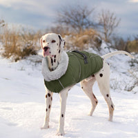 Dog Coats for Large Dogs Waterproof Dog Jacket with Adjustable Fit – Essentials for Dogs - XL / Army Green - image 2
