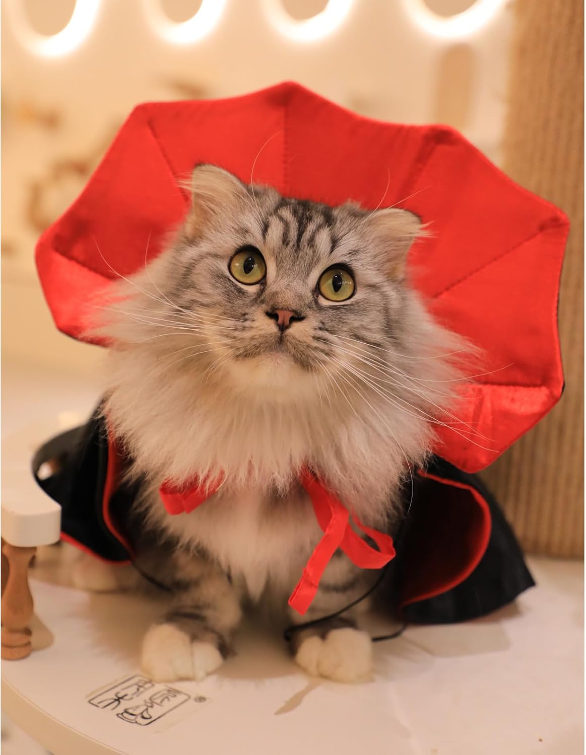 Dog Cat Vampire Cloak Costume for Small Medium Large Dogs Cats - Small - image 2