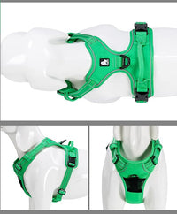 TRUE LOVE Adjustable No-Pull Dog Harness Reflective Pup Vest Harnesses Comfortable Control Brilliant Colors Truelove TLH5651(Grass Green,XS)
